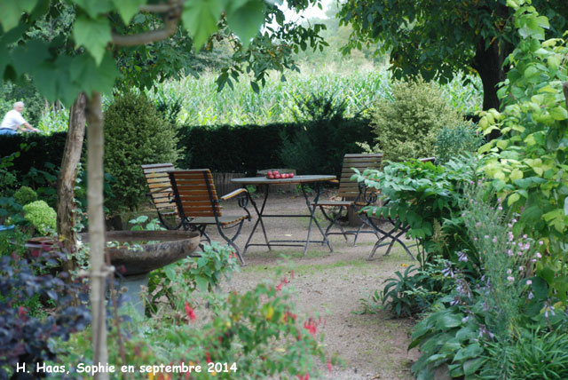 Herrenmühle: terrasse ombragée