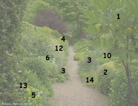 Hadspen: jardin jaune