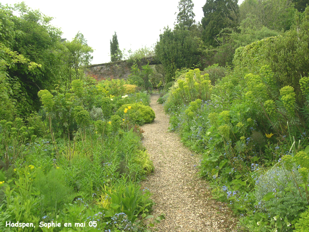 Hadspen: jardin jaune