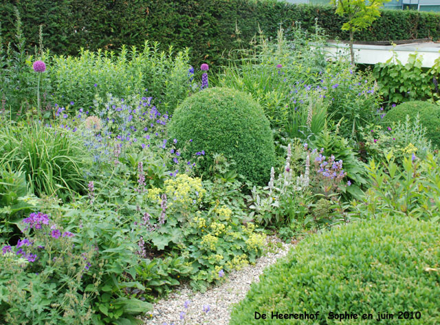 De heerenhof: massif mauve