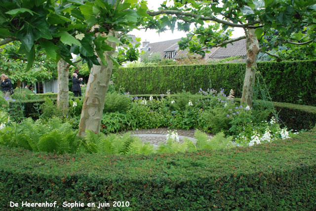 De heerenhof: cercle de platanes