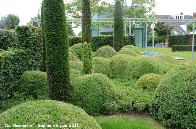 De heerenhof: moutonnement vert