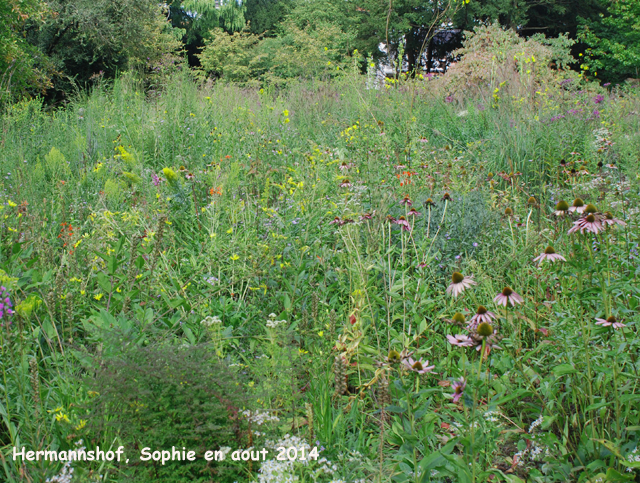 Hermannshof: prairie sèche