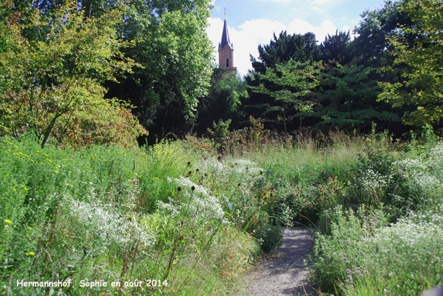 Hermannshof: prairie sèche