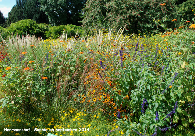 Hermannshof: prairie sèche