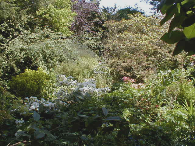The Rock Bank &agrave; Hidcote