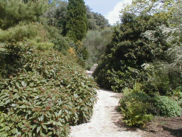 The Rock Bank &agrave; Hidcote