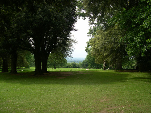 Hidcote: campagne