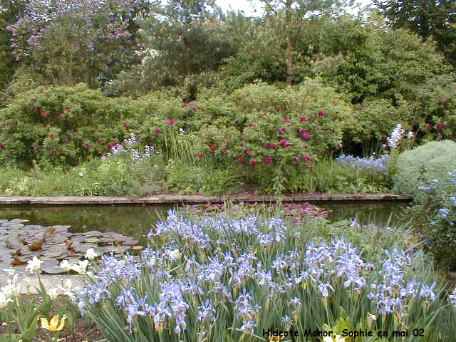 Hidcote: etang