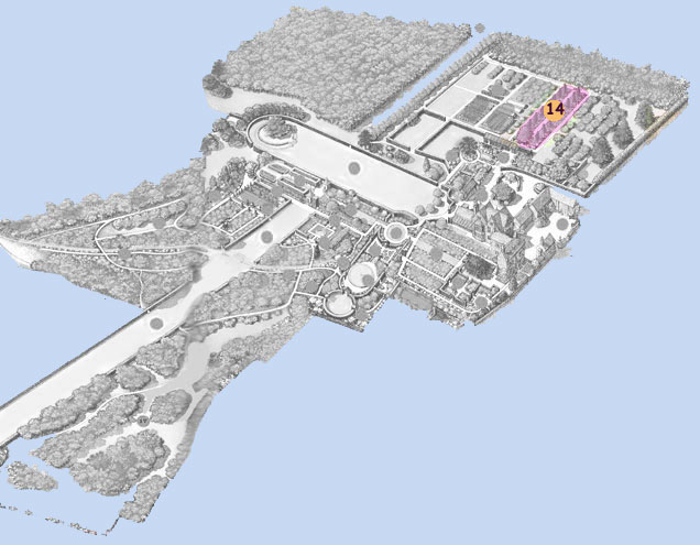 Hidcote: plan roses