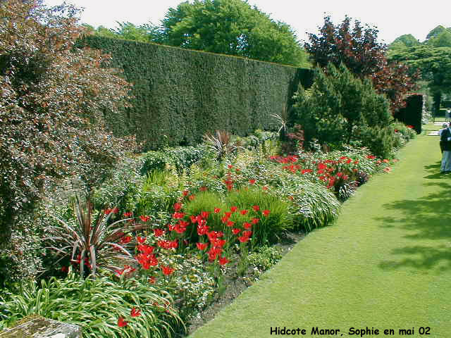 Hidcote: bordure rouge