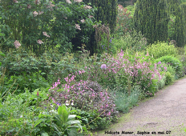 Hidcote Manor: le jardin des roses