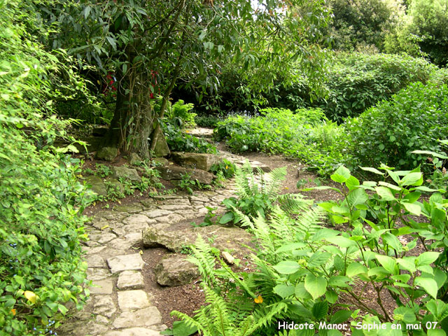 Hidcote: ruisseau