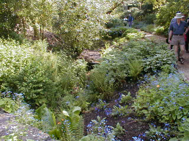 le "stream" &agrave; Hidcote