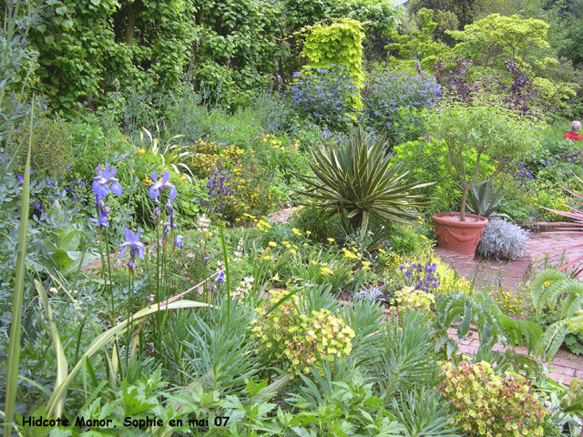 Hidcote: Mrs. Winthrop