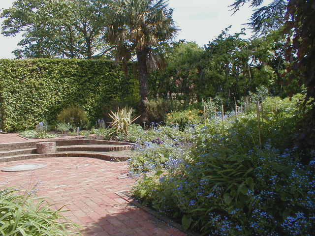 Mrs Winthrop garden