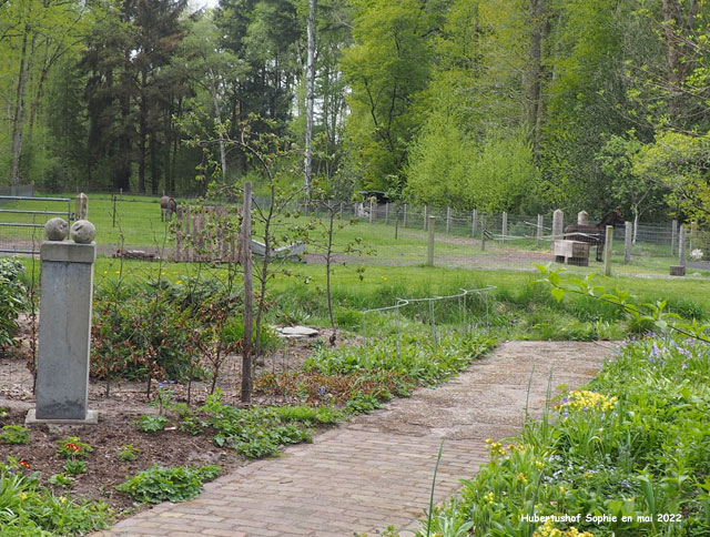 Hubertushof: la prairie