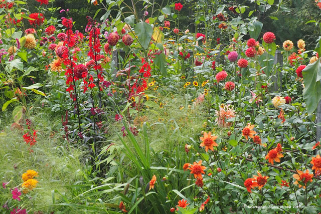 Hubertushof: derrière la serre