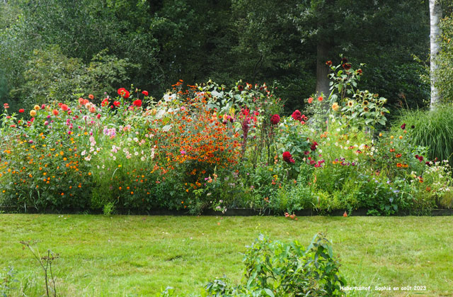 Hubertushof: derrière la serre