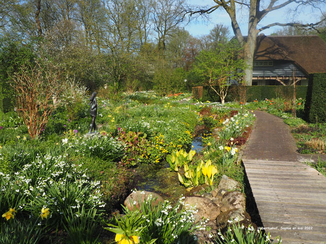 Hubertushof: le ruisseau