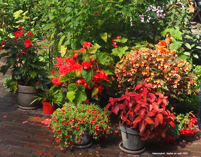 Hubertushof: la cour intérieure