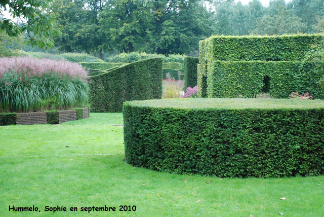 HUmmelo: entrée des grands massifs