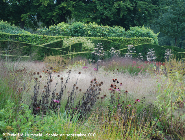 HUmmelo: ondulations d'ifs