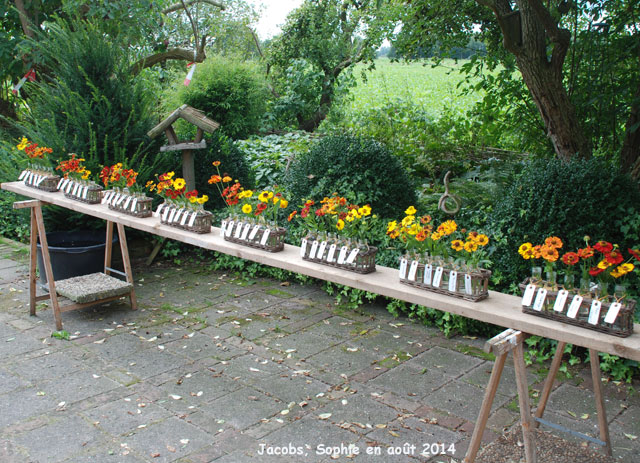 Jacobs: Heleniums