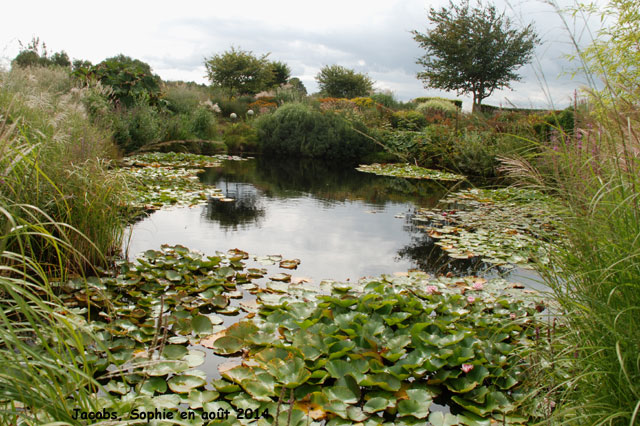 Jacobs: l'étang