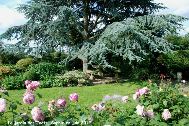 Jardin des Joëts: cèdre