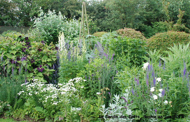 Jardin des Joëts: détail bleu