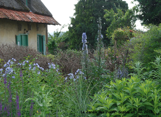 Jardin des Joëts: détail bleu