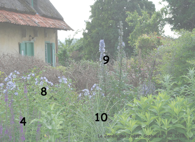 Jardin des Joëts: détail bleu