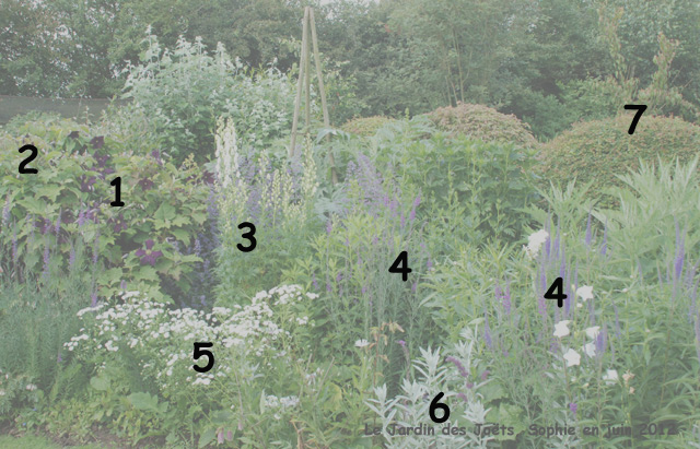 Jardin des Joëts: détail bleu