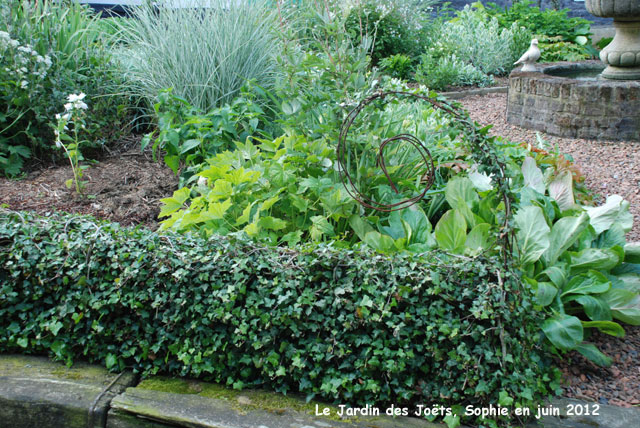 Jardin des Joëts: lierre