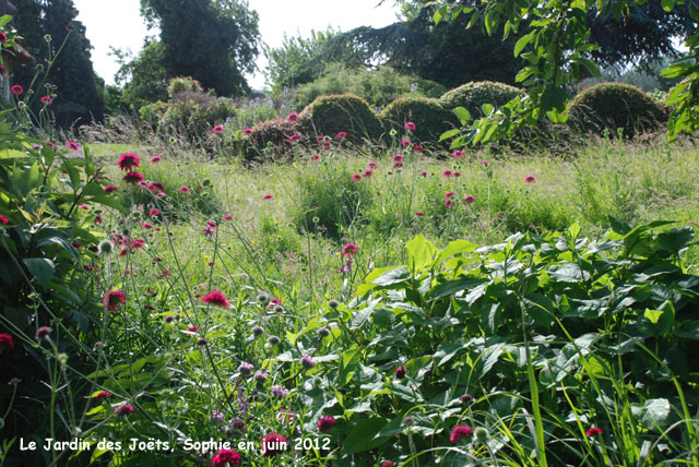 Jardin des Joëts: grands massifs