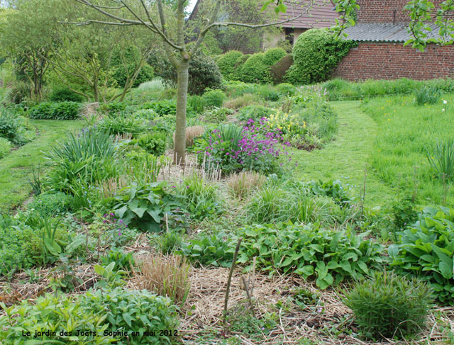 Jardin des Joëts: paillis