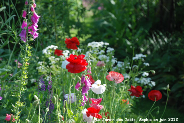 Jardin des Joëts: détail bleu