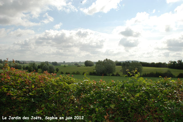 Jardin des Joëts: paysage