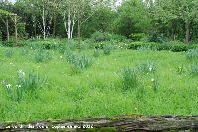 Jardin des joëts: prairie