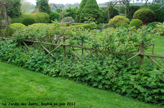 Jardin des Joëts: rosiers