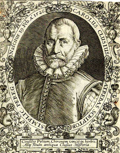 Charles de L'Ecluse