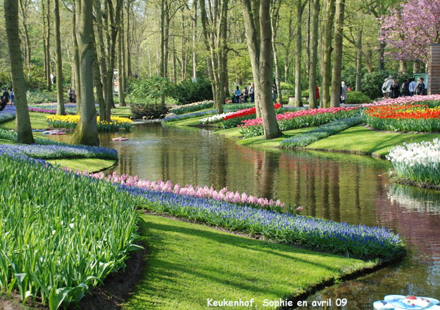 Keukenhof: le parc