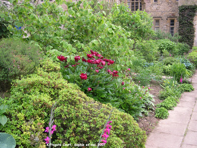 Kiftsgate: jardin blanc detail