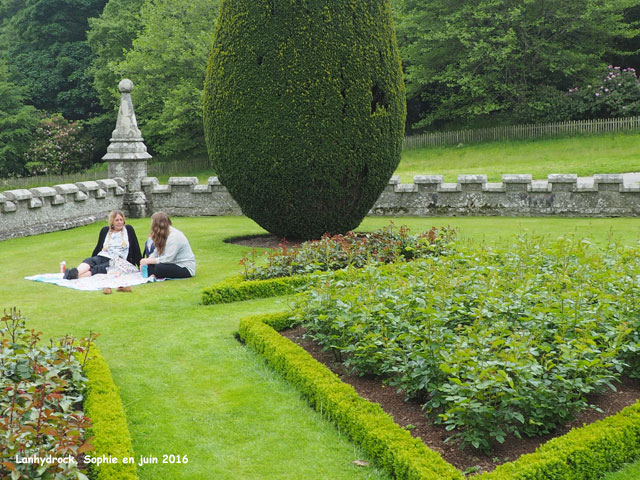 Lanhydrock: les ifs