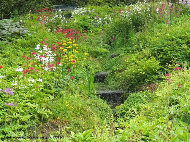 Lanhydrock: ruisseau