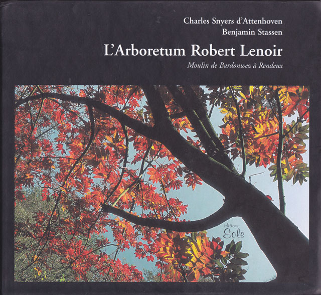 clairière aux érables