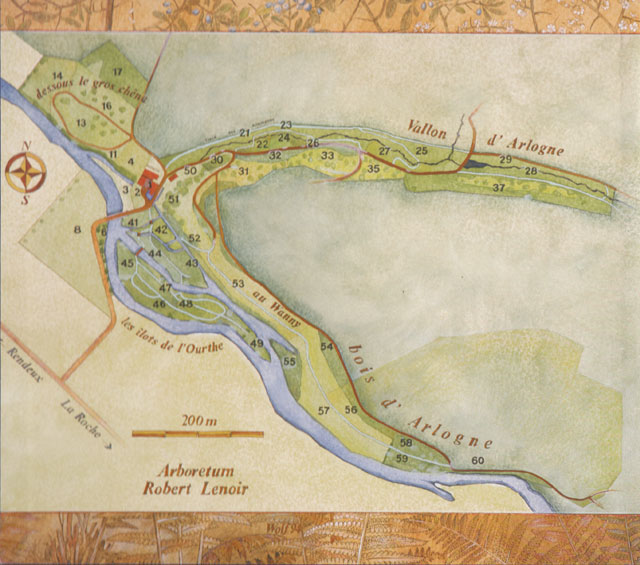 Plan des parcelles