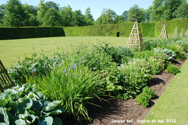 Levens Hall: bordure boulingrin