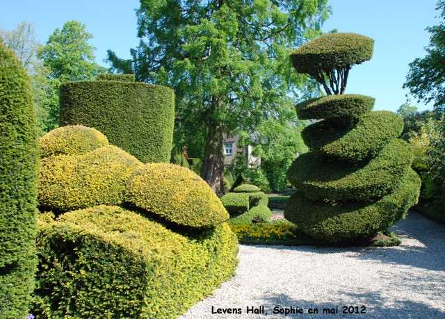 Levens Hall: topiaires